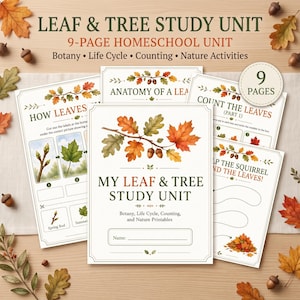 Könnte beinhalten: Ein 9-seitiges pädagogisches Druckset mit dem Titel My Leaf & Tree Study Unit. Die Seiten enthalten botanische Illustrationen von Blättern und Eicheln sowie Aktivitäten zu Botanik, Lebenszyklen und Zählen. Der Text umfasst Anatomy of a Leaf.