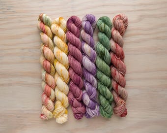 Flower Market - 20g Mini Skein Set - Staple Fingering - 80/20 SW BFL/Nylon