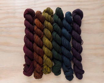 Dark Side Mini Skein Set - Staple Fingering - 80/20 SW BFL/Nylon