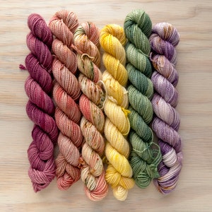 Flower Market Mini Skein Set Staple Fingering 80/20 SW BFL/Nylon image 1