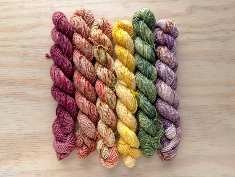 Flower Market Mini Skein Set Staple Fingering 80/20 SW BFL/Nylon image 1