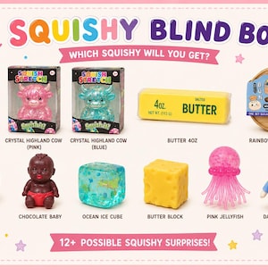 May include: A Squishy Blind Box display featuring 12 possible squishy surprises including a gummy bear, pink and blue crystal highland cows in boxes, a 4oz butter stick, a rainbow mystery bun, a red strawberry, a chocolate baby, an ocean ice cube, a butter block, a pink jellyfish, and a dancing penguin.