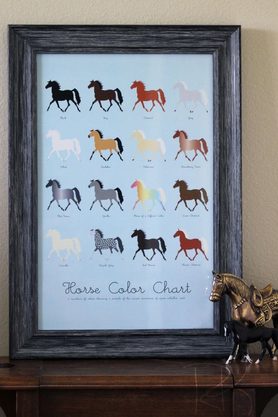 Horse Coat Color Chart