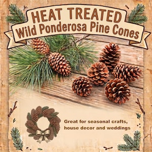 May include: A rectangular sign with a wood-textured background featuring the text HEAT TREATED Wild Ponderosa Pine Cones. The image displays several brown pine cones and green pine needles, along with a small illustration of a pine cone wreath.