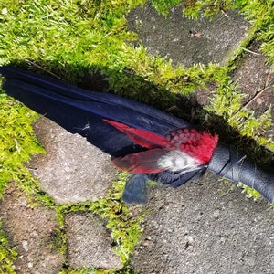 NEW YEAR SALE! Smudge Fan. Smudge Feather. Raven. Crow. Red Accent Feathers. Crow Feather Fan. Raven Fan. Crow Fan. Feather for Smudge