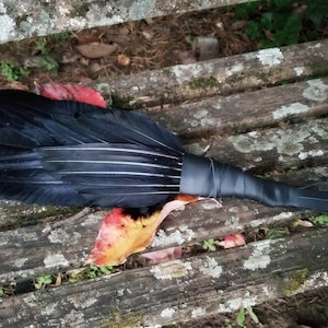 Large Crow Raven Smudge Fan. Smudge Feather. Raven. Crow. Feather. Crow Feather Fan. Black. Raven Fan. Crow Fan. Feather for Smudge. Native