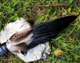 Smudge Fan. Owl Crow Raven. Smudge Feather. Feather. Crow Owl Feather Fan. Black. Raven Fan. Crow Fan. Feather for Smudge. Native American