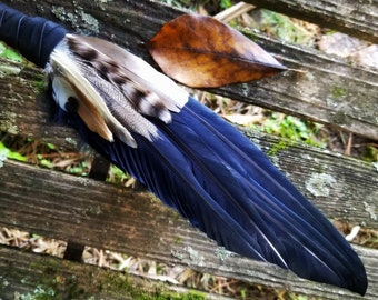 Smudge Fan. Owl Crow Raven. Smudge Feather. Feather. Crow Owl Feather Fan. Black. Raven Fan. Crow Fan. Feather for Smudge.