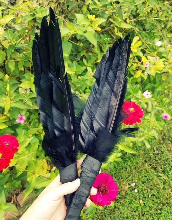 Black Feather for Smudging
