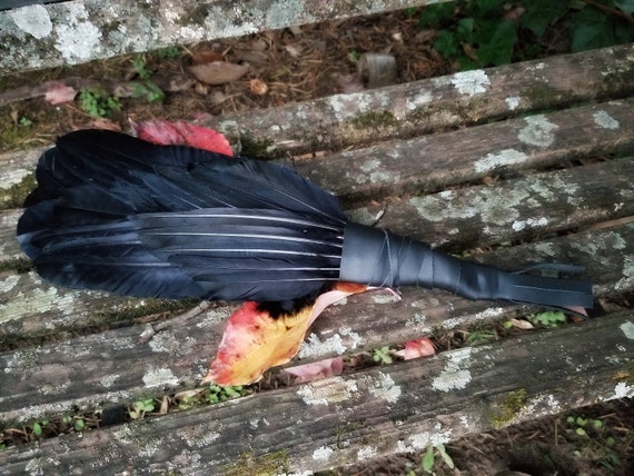 Black Feather for Smudging