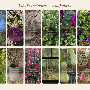 May include: A collection of 12 digital wallpapers featuring nature photography including trees, flowers, cacti, and vegetables. Each image contains inspirational text such as Grow toward the light, Soft is not weak, and Bloom where you are planted.