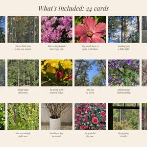 May include: A set of 24 cards featuring nature photography and floral imagery. Each card displays a unique photograph, including forests, flowers, and plants, paired with printed inspirational text such as You're doing better than you think.