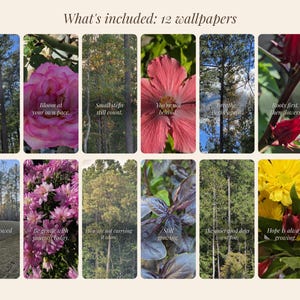 May include: A collection of 12 digital wallpapers featuring nature photography including pine forests, pink roses, hibiscus flowers, and yellow chrysanthemums. Each image contains inspirational text such as Let the light in, Bloom at your own pace, and Hope is always growing.