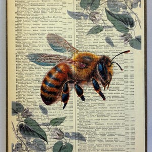 Honey Bee Antique Dictionary Art Print, Mounted Wood Wall Art (8" x 11")