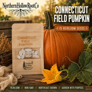 May include: A brown paper seed packet labelled Connecticut Field Pumpkin containing 15 heirloom seeds, positioned next to a large orange pumpkin, a yellow pumpkin flower, and green leaves, with Northern Hollow Root Co branding visible.
