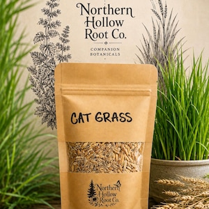 May include: A brown paper pouch labeled CAT GRASS with a clear window showing tan seeds inside. The pouch features the Northern Hollow Root Co. logo and text. Above the pouch is a black and white illustration of botanical plants and moon phases.