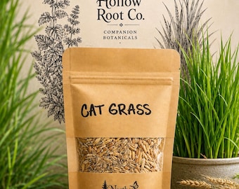 Miscela di semi di erba gatta biologica / Mix di orzo, avena, grano e segale (non OGM)