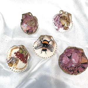 Coastal Garden Seashell Magnets Flowers and Bumblebees