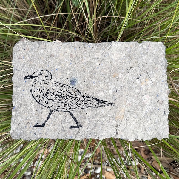 Original Laughing Gull Bird Linocut Art Print on Handmade Paper -  Coastal Seagull Linoprint Artwork