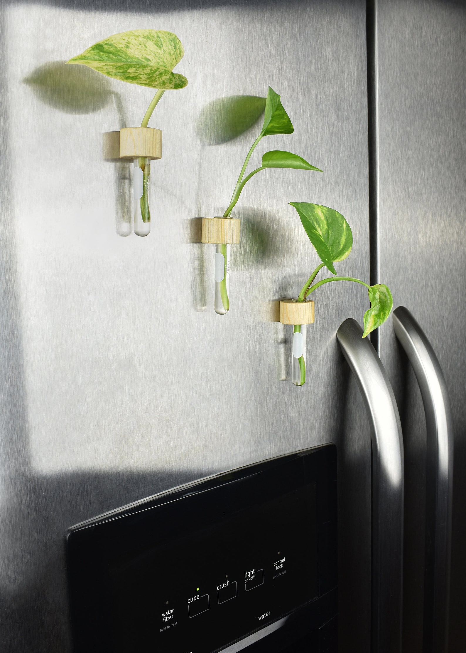 Plant Propagation Station with Glass Test Tubes Etsy