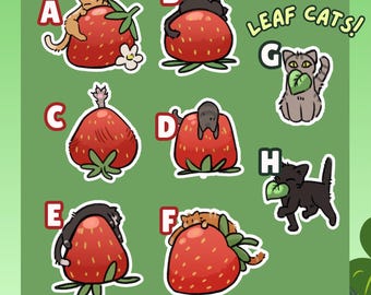 Pegatinas de gato fresa