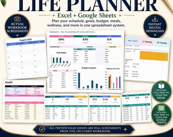 All-in-One Life Planner Spreadsheet, Budget, Habit, Goal Tracker (Google Sheets, Excel)