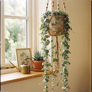 Puede incluir: Una planta cadena de corazones en una maceta de cerámica moteada suspendida por un colgador de macramé beige. La planta presenta numerosas hojas verdes pequeñas en forma de corazón sobre tallos finos que caen desde la maceta clara y texturizada.