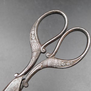 Può includere: Un paio di forbici in metallo color argento con motivi floreali incisi e dettagli tratteggiati lungo i manici. La superficie metallica presenta una patina scura e usurata con volute e motivi decorativi ben visibili.