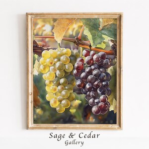Grape Clusters Watercolor Painting, Realistic Botanical Still Life Wall Art (Digital Download) 256