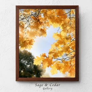 Könnte beinhalten: Ein gerahmter Wandkunstdruck mit einer Froschperspektive auf goldgelbe Herbst-Eichenblätter vor einem hellen Himmel. Der dunkelbraune Holzrahmen umgibt das Bild, das leuchtendes Laub und dunkle Baum-Silhouetten im unteren Bereich zeigt.