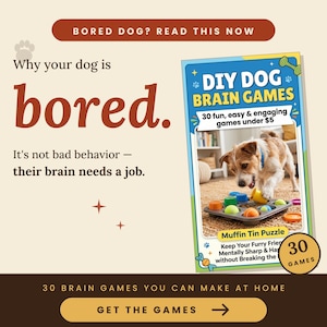 Peut inclure: Image promotionnelle pour des jeux de r&eacute;flexion pour chiens &agrave; faire soi-m&ecirc;me. L'image pr&eacute;sente un livre intitul&eacute; "DIY DOG BRAIN GAMES" avec un chien jouant avec un puzzle de moule &agrave; muffins. Le texte comprend "30 jeux amusants, faciles et engageants pour moins de 5$" et "30 jeux".