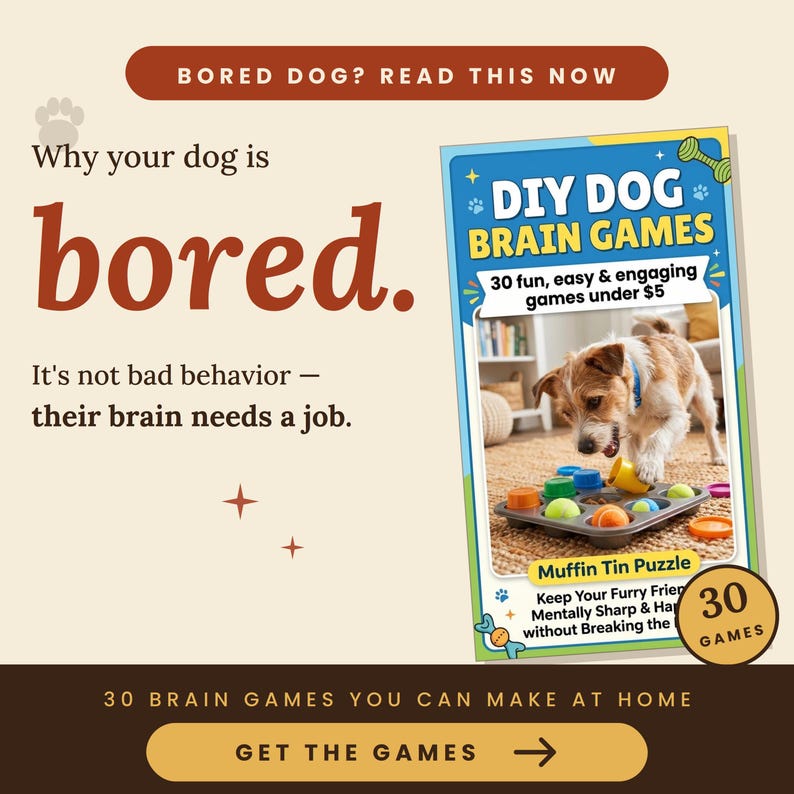 Peut inclure: Image promotionnelle pour des jeux de r&eacute;flexion pour chiens &agrave; faire soi-m&ecirc;me. L'image pr&eacute;sente un livre intitul&eacute; "DIY DOG BRAIN GAMES" avec un chien jouant avec un puzzle de moule &agrave; muffins. Le texte comprend "30 jeux amusants, faciles et engageants pour moins de 5$" et "30 jeux".