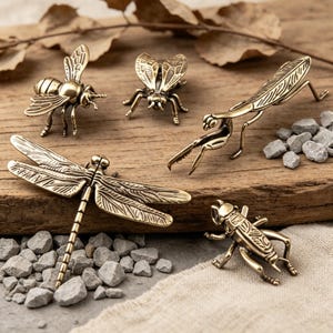 May include: A collection of brass insect figurines, including a dragonfly, bee, mantis, and grasshopper. The detailed sculptures are displayed on a wooden surface with small gray stones and a neutral-colored fabric.