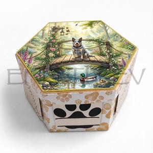 May include: A hexagonal box featuring a printed scene of a dog sitting on a wooden bridge over a stream with a mallard duck. The sides of the box are decorated with a pattern of light brown paw prints and a central black paw print graphic.