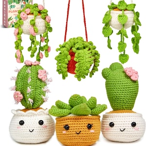 May include: A collection of six crocheted plant items, including three hanging plants with green foliage and pink flowers, and three potted plants in white and yellow containers with embroidered faces and pink blush accents.