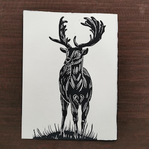 May include: A black and white linocut print on textured paper featuring a detailed illustration of a stag with large, branching antlers standing in a patch of grass. The artwork uses bold black ink lines to define the deer's form and texture.