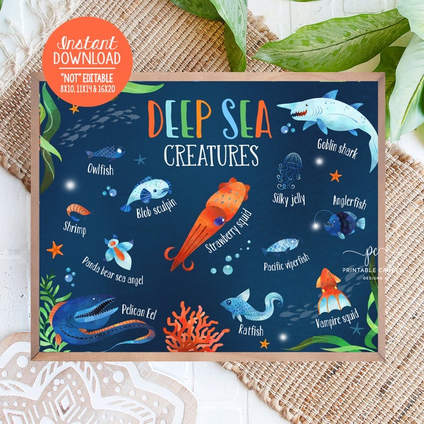 Under the Sea Animals Poster Sign Deep Sea Creatures Boy Birthday Decor Ocean Party Educational Kids Posters Printable Digital File