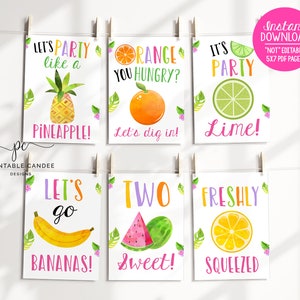 TWOtti Frutti Party Signs Tutti Frutti Food Sign Birthday Party Summer Printables Watermelon Theme Table Signs TFWCT