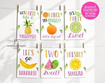 TWOtti Frutti Party Signs Tutti Frutti Food Sign Birthday Party Summer Printables Watermelon Theme Table Signs TFWCT