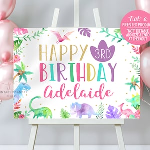 Girl Dinosaur Party Backdrop Dino Theme Birthday Decor Background Poster Printable Banner DGGPT