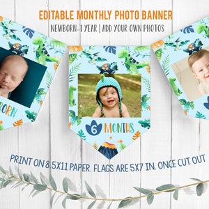 Editable Dinosaur First Birthday Banner Monthly Photo Flags Boy Dino Party Decor Flags Template Printable