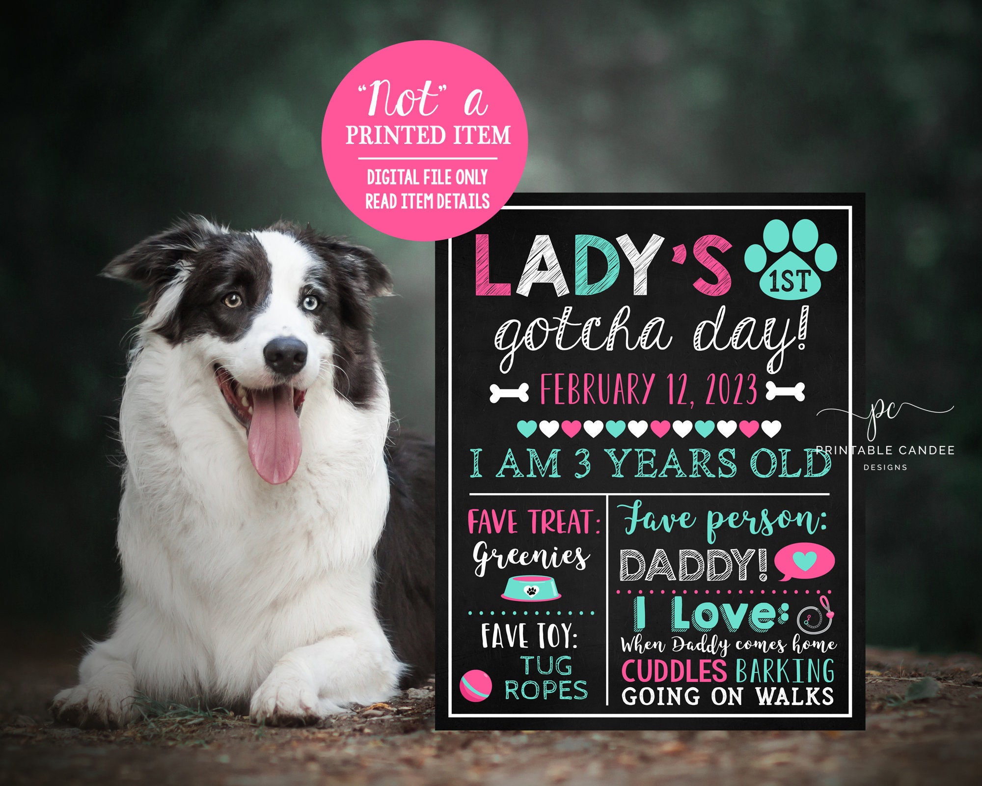 Dog Gotcha Day Sign Puppy 1 Year Poster Pet Birthday Stats - Etsy Australia Dog Gotcha Day Sign Puppy 1 Year Poster Pet Birthday Stats - Etsy Australia