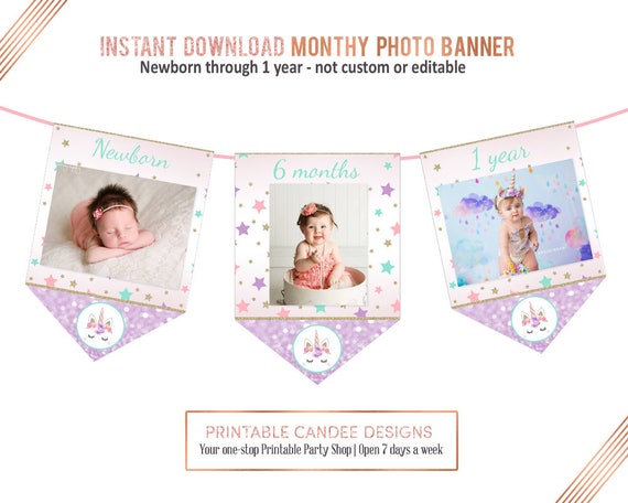 Unicorn Monthly Photo Banner First Birthday Banner Unicorn Etsy