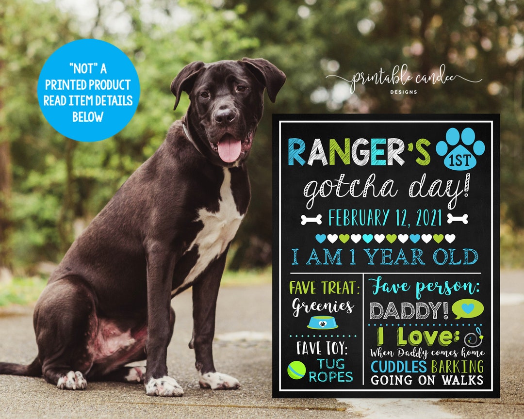 Year Old Coonhound Adoption Dog Gotcha Day Sign Puppy Year Poster