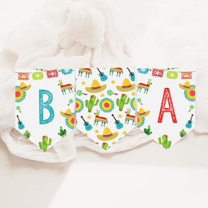 May include: A festive banner with white pennants, each displaying a letter and colorful Mexican-themed illustrations. The pennants feature sombreros, cacti, guitars, and pinatas. The letters "B" and "A" are in turquoise and red, respectively.