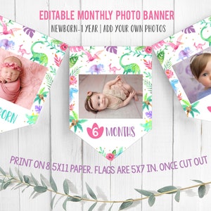 Editable Dinosaur First Birthday Banner Monthly Photo Flags Girl Dino Party Decor Flags Template Printable