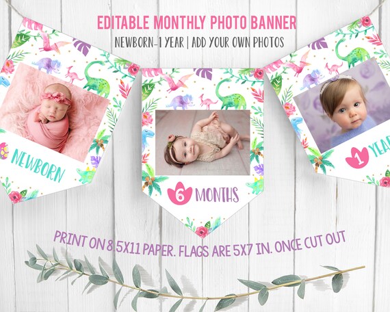 Editable Dinosaur First Birthday Banner Monthly Photo Flags Girl Dino Party Decor Flags Template Printable DGGPT