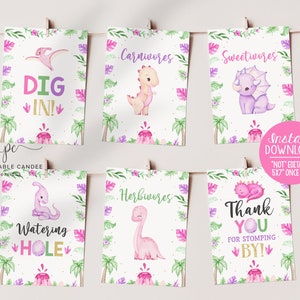 Dinosaur Party Signs Baby Girl Dino Food Sign Birthday Party Pink Dinosaur Printables Trex Theme Table Signs