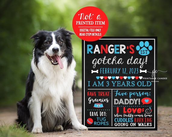 Dog Gotcha Day Sign Puppy year Poster Pet Birthday Stats Rescue Dog  Adoption Chalkboard Sign Printable File