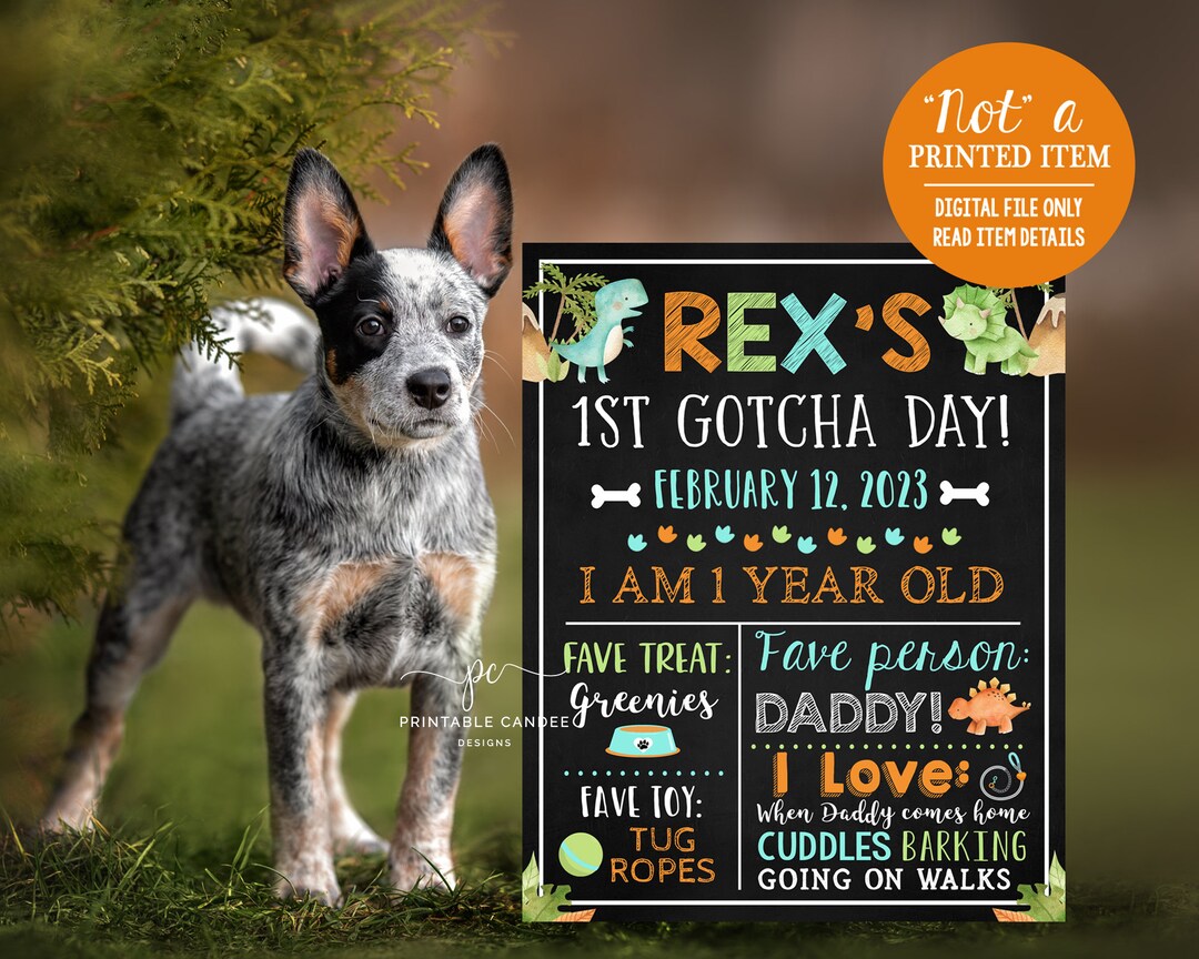 Dog Gotcha Day Sign Puppy 1 Year Poster Pet Dinosaur Birthday Stats ...